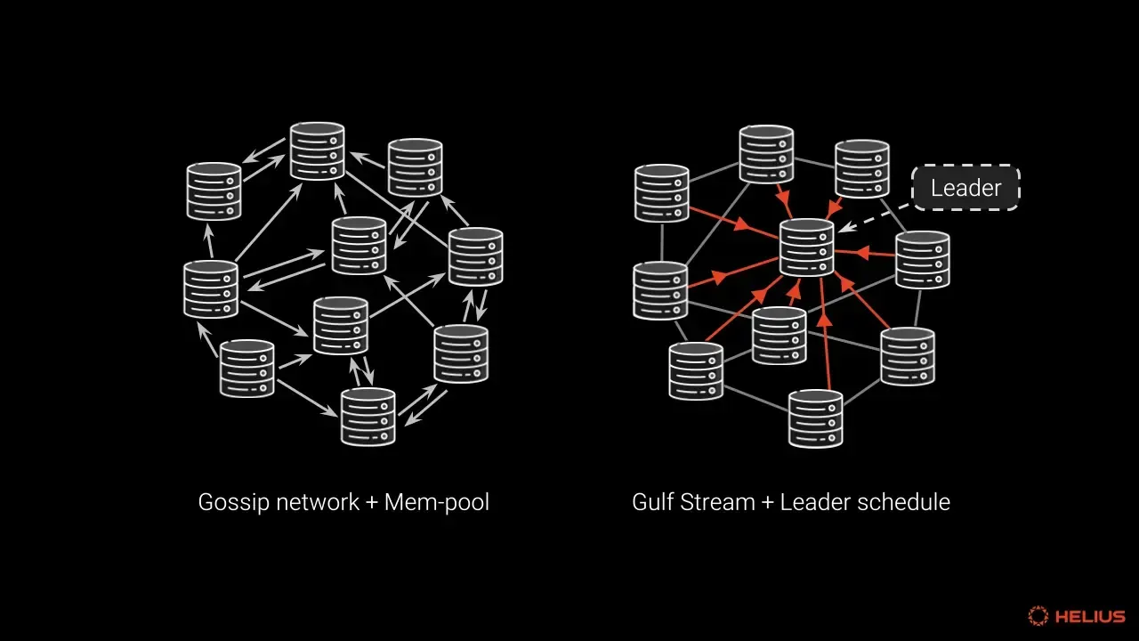 Gossip network + Mem-pool, Gulf stream + leader schedule