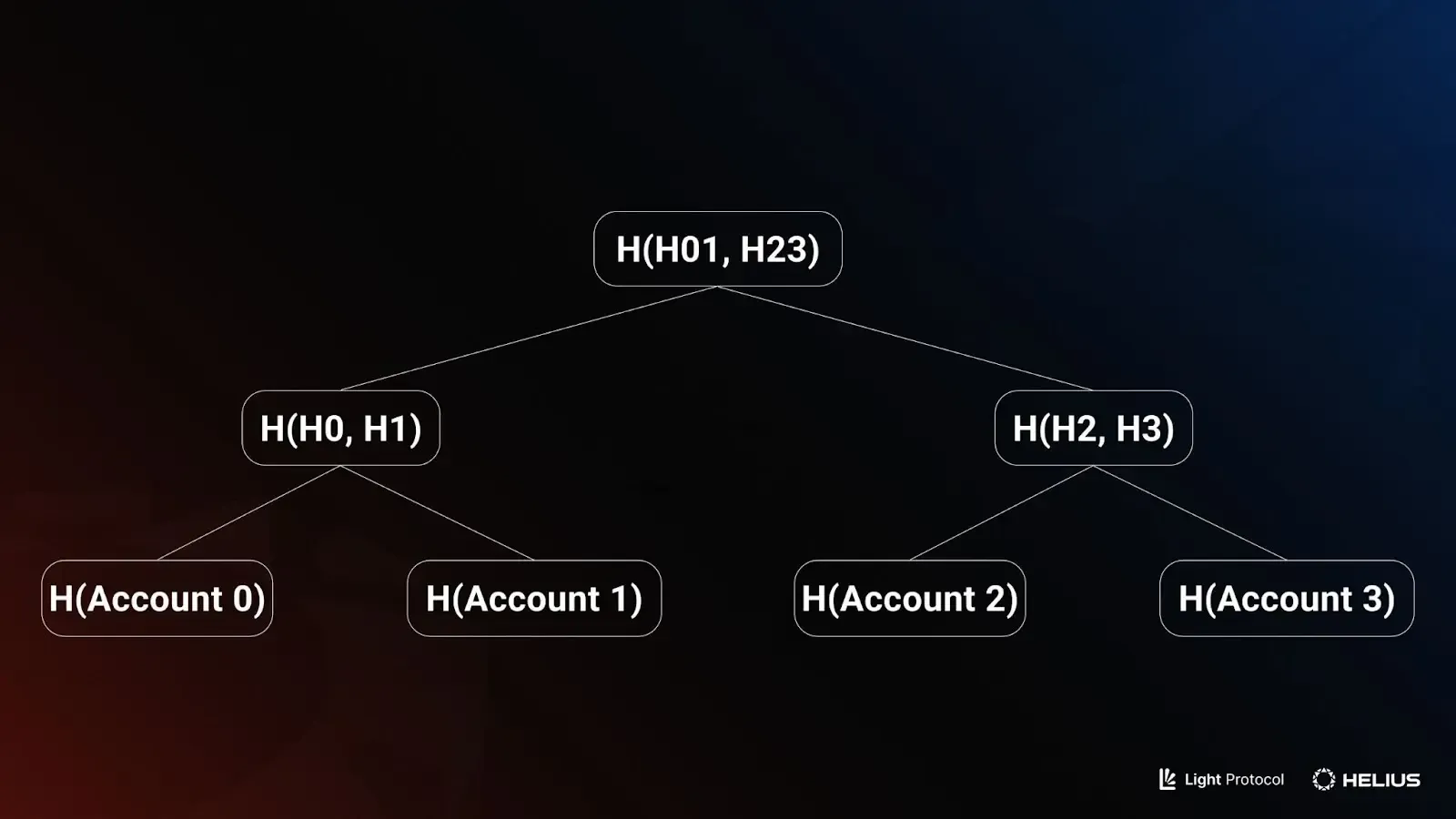 Uma estrutura de árvore de Merkle com quatro contas
