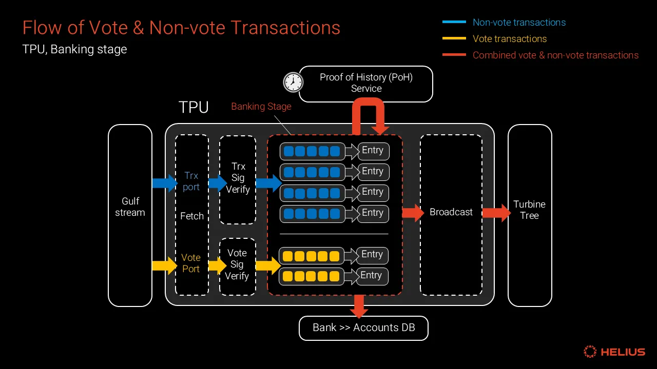 flow of vote and non-vote transactions