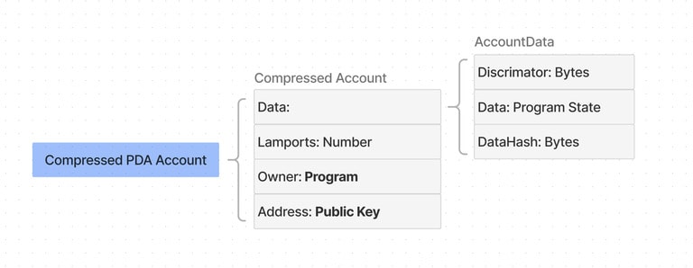 Compressed Account Model