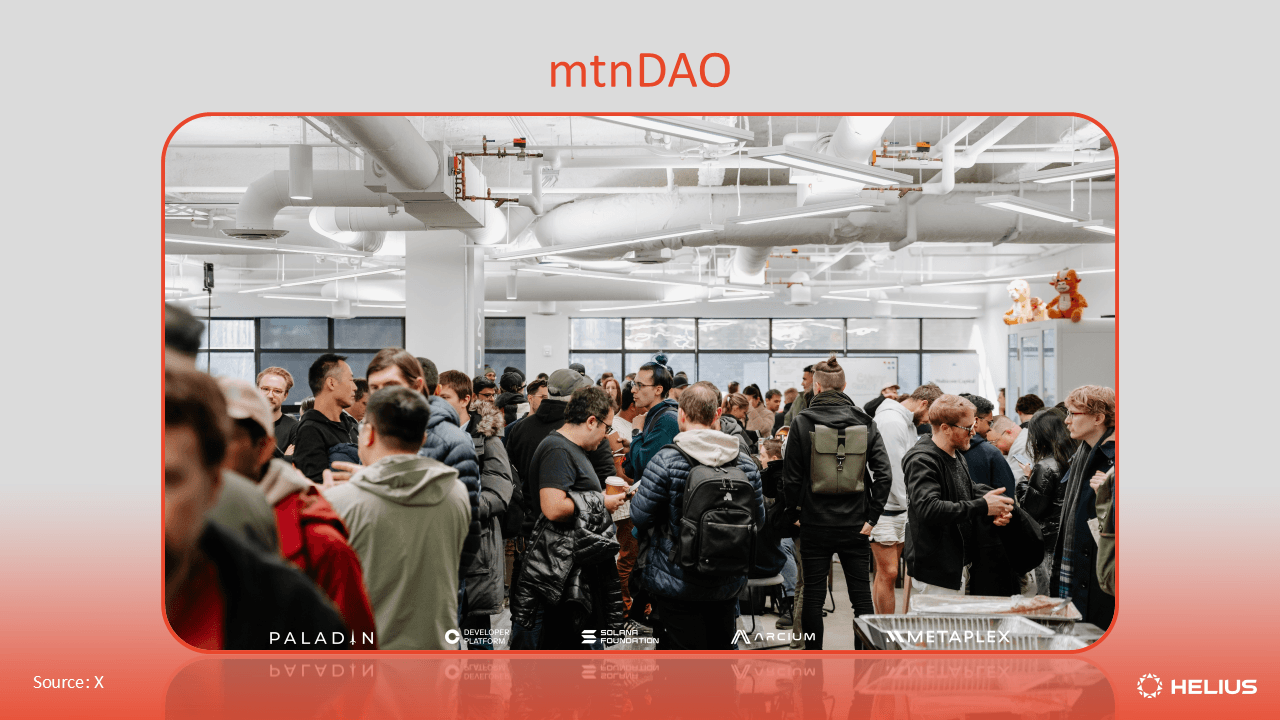 mtnDAO