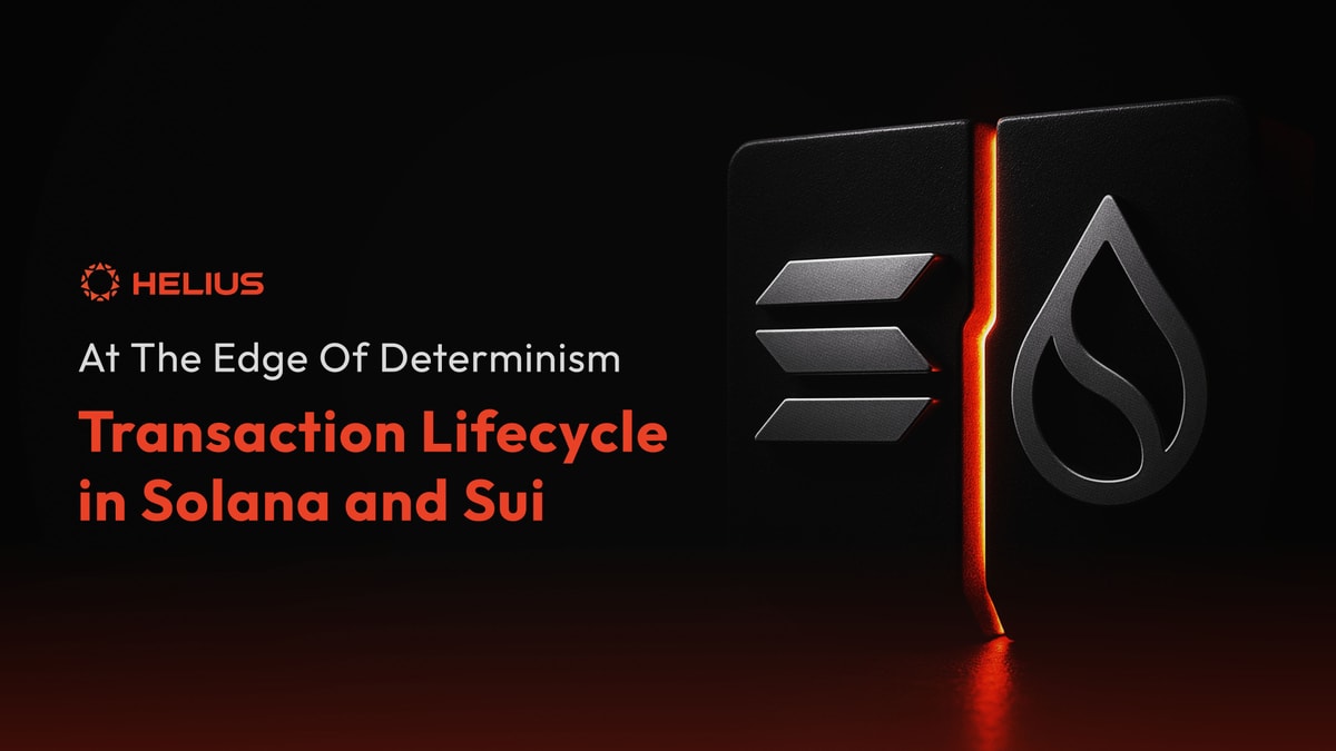 compare solana and sui's transaction lifecyle