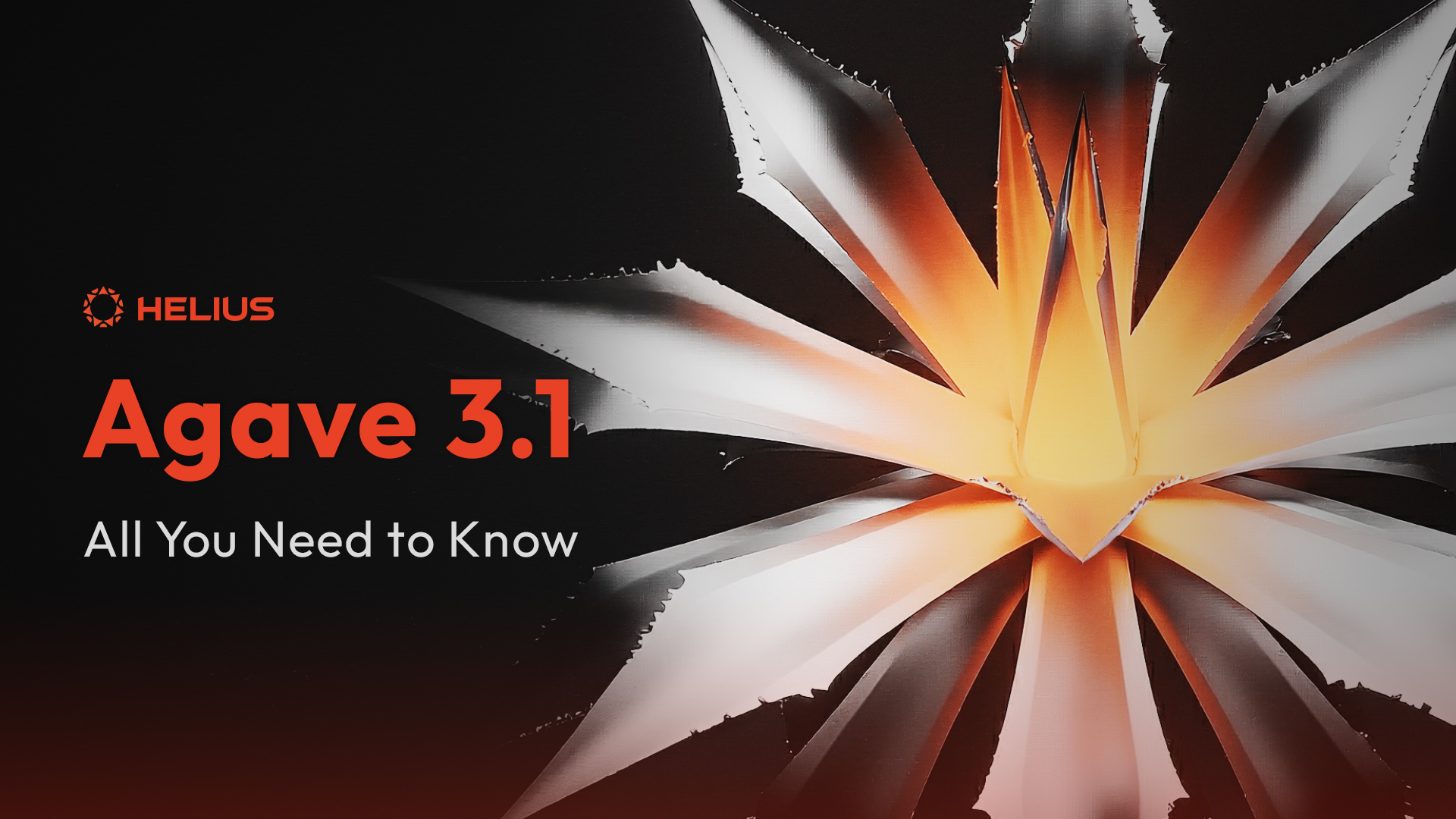 Agave 3.1 : La mise à jour du client Solana qui double les performances
